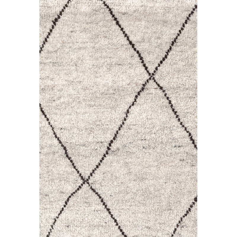 HandKnotted Gray Area Rug AllModern
